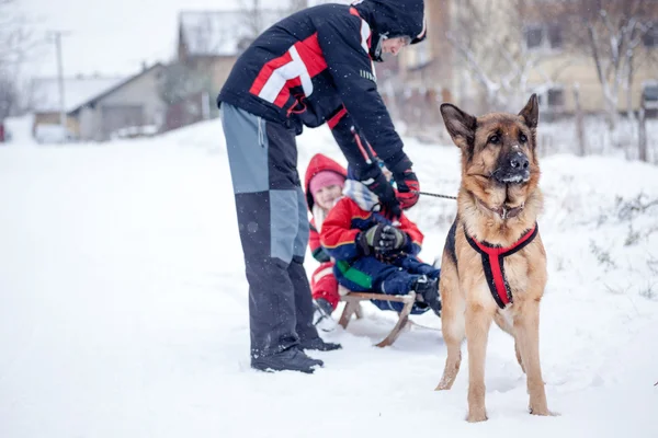 Pappa och hund Schäfer, ha kul med barnen i snön — Stockfoto