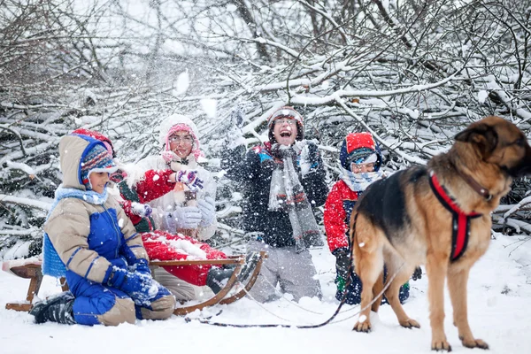Tysken Fåraherde hund drar barn på slädar under snö — Stockfoto