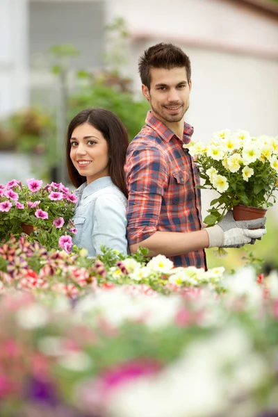 Young smiling florists man and woman working in the greenhouse — Stock Photo, Image