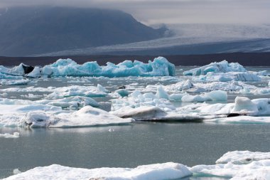 İzlanda buzdağları gölünde yüzen