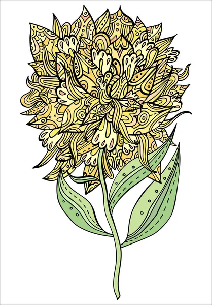 Utsmyckad Nyckfull Gul Pion Blomma Vektor Blommig Illustration — Stock vektor