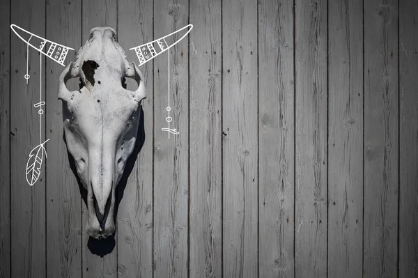 Bull Skull Decorative Horns Hanging Wooden Wall Dark Backdrop Animal — Stock Photo, Image