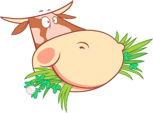 Head of a chewing cow — Stock Vector