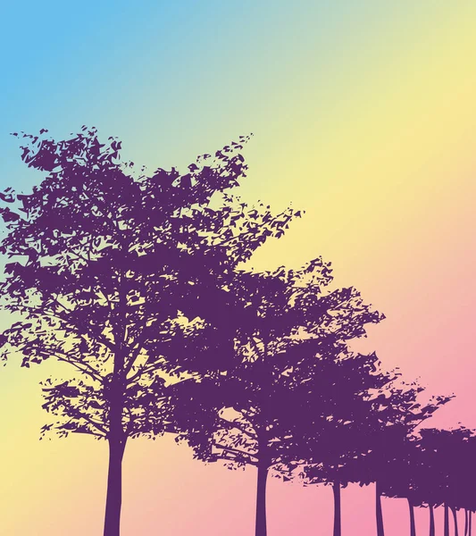 图片说明 紫树在日出时装饰在淡蓝色 黄色和粉色背景上 — 图库照片