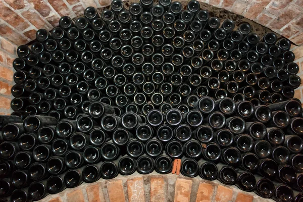 Old wine bottles in basement — Stock Photo, Image