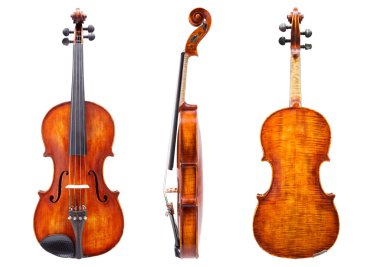 Front, side and back view of a violin clipart