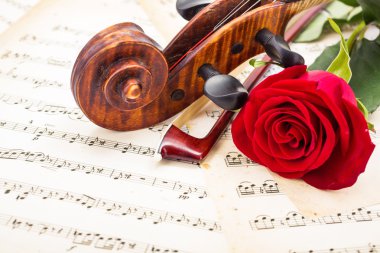 Close view of violin scroll, bow and red rose clipart