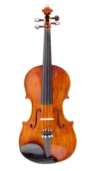 Front view of a violin — Stock Photo, Image