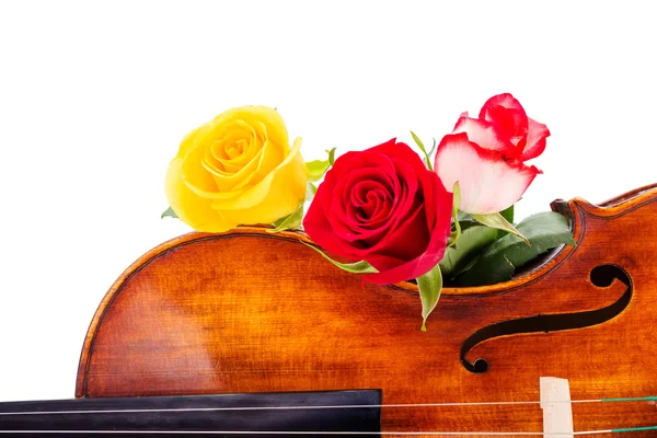 Flowers on violin — Stock Photo, Image