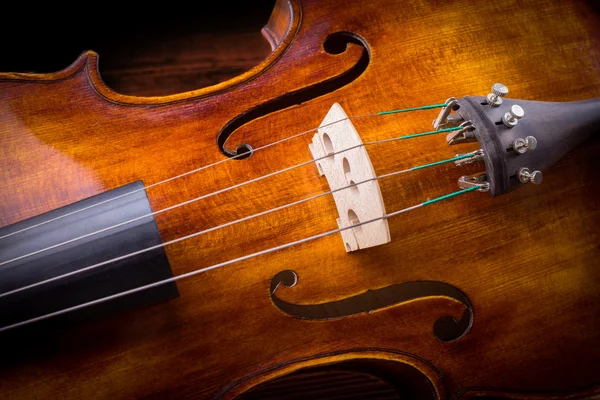 Violinsaiten und Steg — Stockfoto