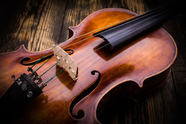 Cuerdas de violín y puente — Foto de Stock