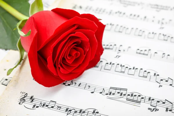 Red rose on musical sheet Stock Image