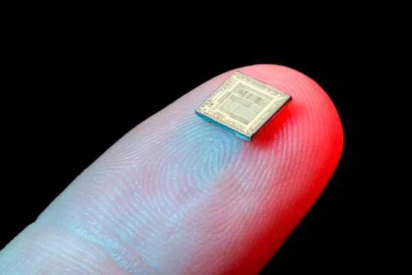 Silicon mikrochip på fingertoppen — Stockfoto