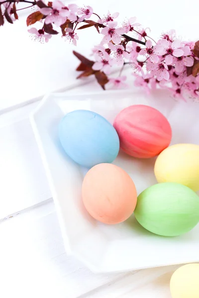 Pastel colored Easter eggs — Stock Photo, Image