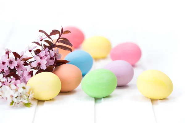 Easter eggs and peach flowers — Stock Photo, Image