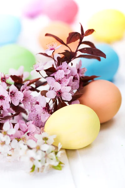 Easter eggs and peach flowers — Stock Photo, Image