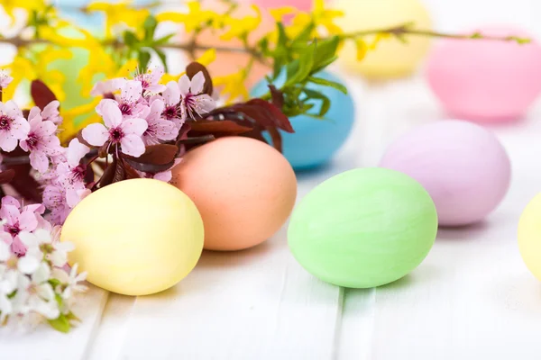 Easter eggs and blooming branch — Stock Photo, Image