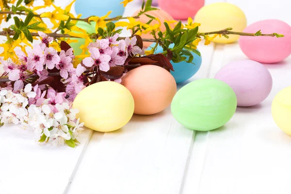 Easter eggs with blooming branch — Stock Photo, Image