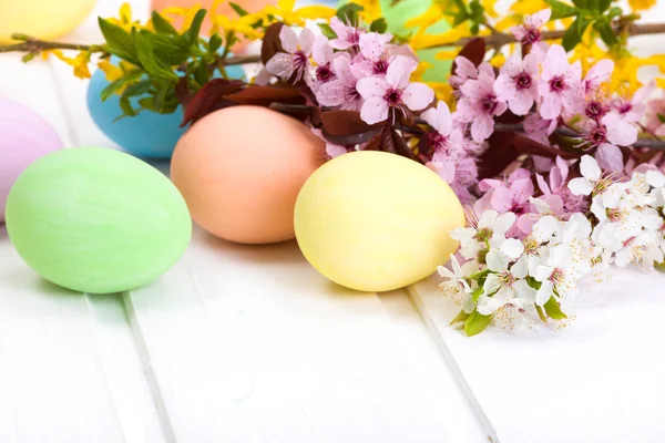 Easter eggs with blooming branch — Stock Photo, Image
