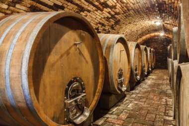 Meşe Fıçıların içinde yeraltı bir şarap mahzeni