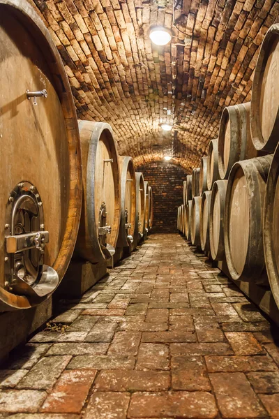 Barricas de roble en bodega subterránea —  Fotos de Stock