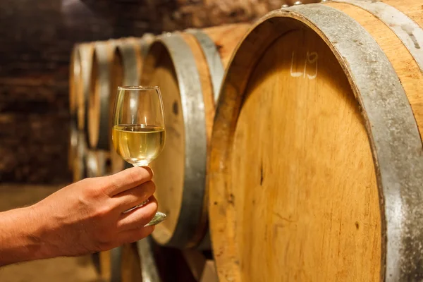 Mão segurando um copo de vinho branco na adega — Fotografia de Stock