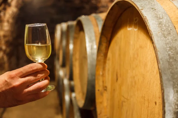 Ręka trzyma kieliszek białego wina w piwnicy — Zdjęcie stockowe
