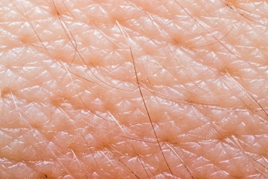 Human Skin Macro — Stock Photo © Icefront 83742396