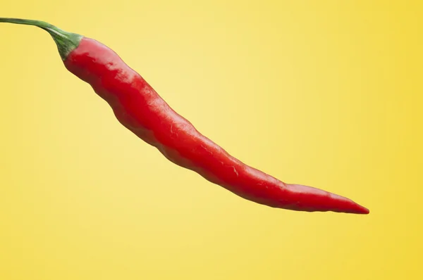 Red Chilli — Stock Photo, Image