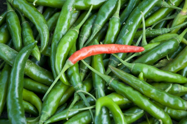 Chillies — Stock Photo, Image