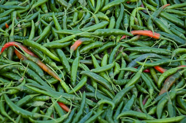 Chillies — Stock Photo, Image