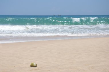 parlak güneşli bir günde sahilde