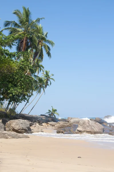 Un día soleado en la playa —  Fotos de Stock