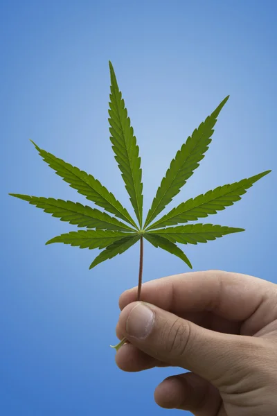 Marihuana-Abhängigkeit — Stockfoto