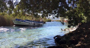 tekne ve ördekler Azmak deresinde / Akyaka