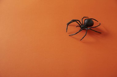 Turuncu arka planda örümcekli cadılar bayramı konsepti yatıyordu.