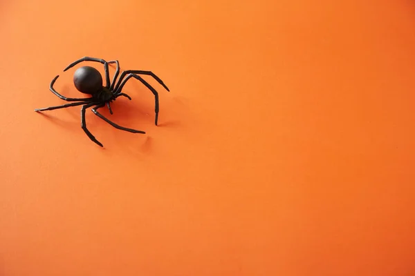 Flat Lay Halloween Background Spider Orange Background Trendy Holiday Concept — Stock Photo, Image