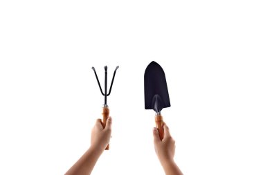 Bahçe aletlerini tutan kız elleri beyaz bahçıvanlık için kürek ve tırmık.