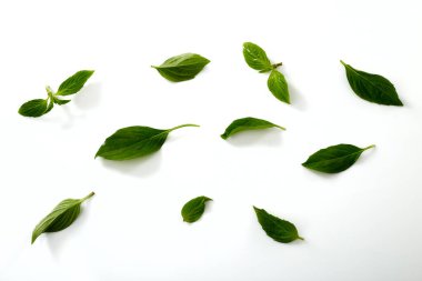 Tatlı fesleğen yapraklarının beyazın ateşini düşürmek için özellikleri vardır.