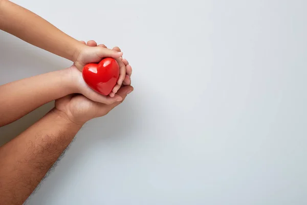 Manos Hombre Niño Con Corazón Rojo Sobre Fondo Blanco — Foto de Stock