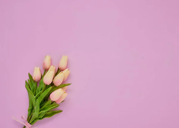 Buquê Flores Tulipas Rosa Fundo Rosa Conceito Dia Internacional Das — Fotografia de Stock