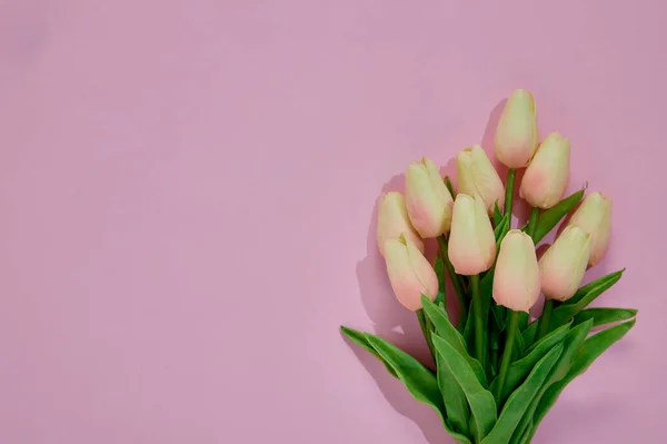 Bouquet Fiori Tulipani Rosa Uno Sfondo Rosa Concetto Giornata Internazionale — Foto Stock