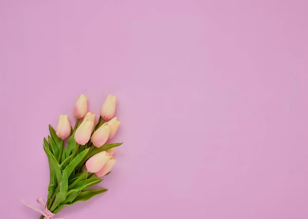 Ramo Flores Tulipanes Rosados Sobre Fondo Rosado Concepto Día Internacional Imagen De Stock