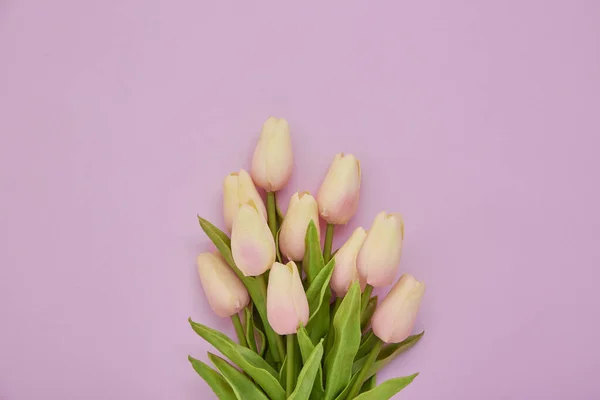 Ramo Flores Tulipanes Rosados Sobre Fondo Rosado Concepto Día Internacional Fotos De Stock