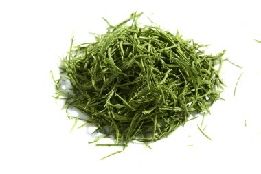 Akasya pennata ya da beyaz arka planda gıdaklayan tırmanma