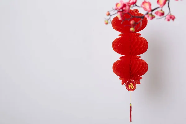 Chinese new year decoration Red lantern and peach blossom on a white background Chinese characters text means rich