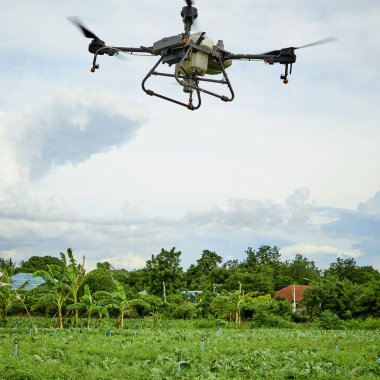 Panorama tarım dronu Kale sahasında gübre püskürtmek için uçar, akıllı çiftçi İHA akıllı teknoloji konsepti kullanır