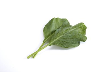 Beyaz arka planda taze Çin lahana sebzesi üzerine su damlaları