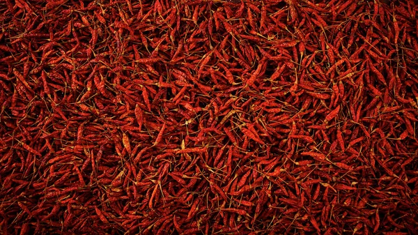 Close Vermelho Seco Quente Chili Textura Fundo Vermelho Seco Karen — Fotografia de Stock