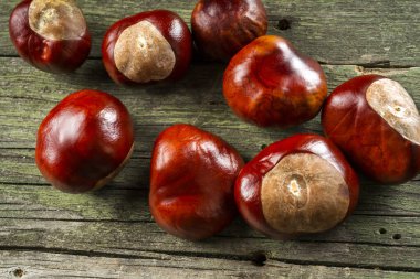 Kestanenin sonbahar meyveleri ahşap masada